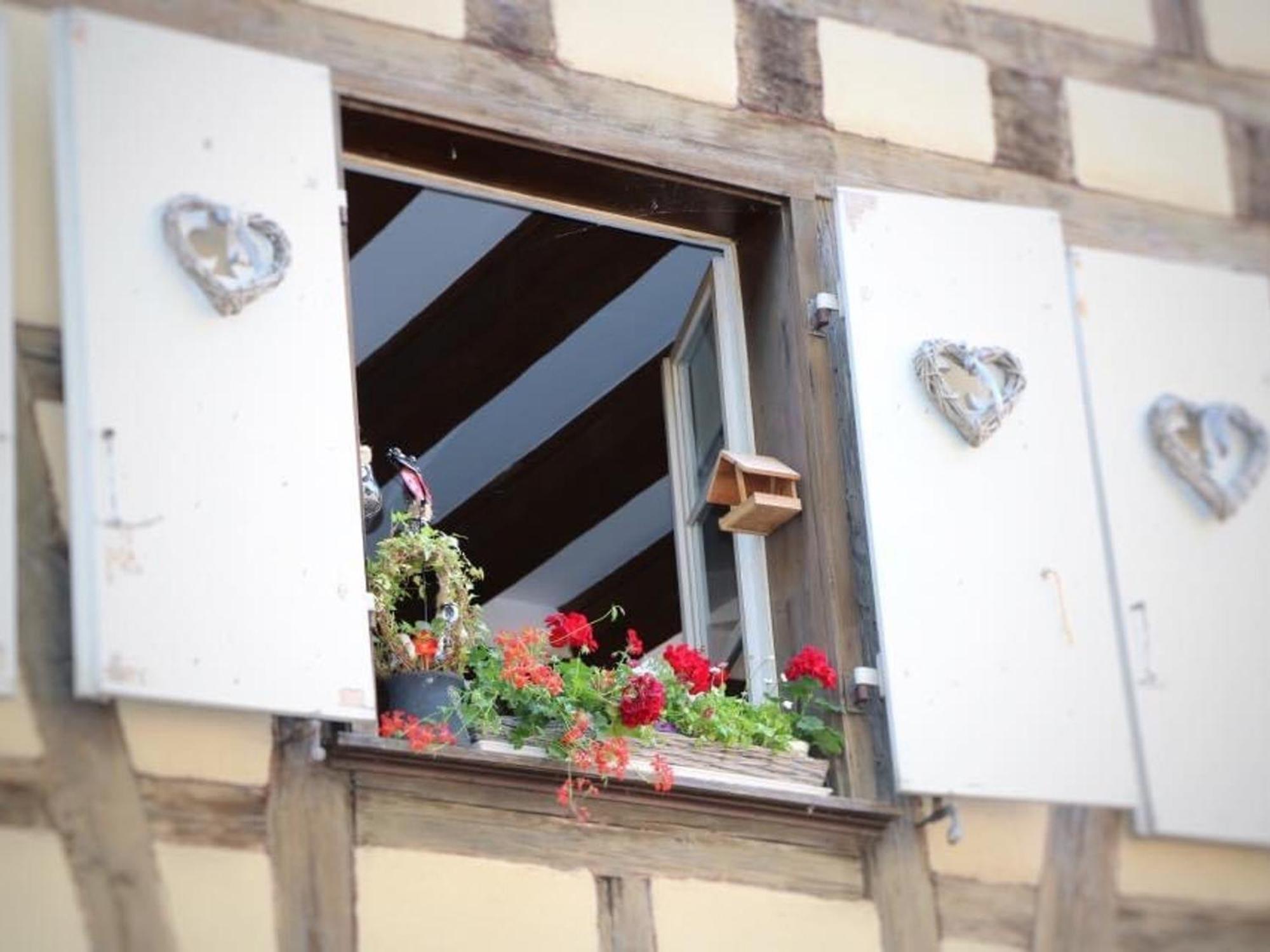 Charmant Appart Avec Garage Et Terrasse Au Coeur De Colmar, Pres De La Route Des Vins D'Alsace - Fr-1-722-6 Екстериор снимка